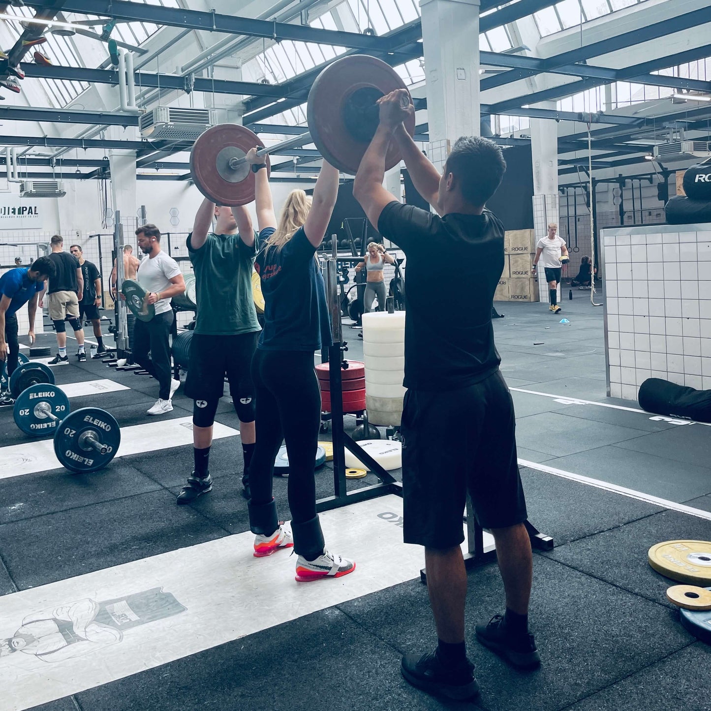 Vægtløftning på abonnement (2 ugentlige) + personligt program